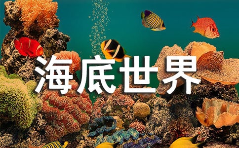 ���������硷���̰�