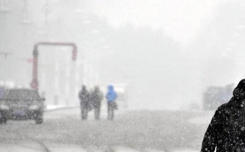 ��ҵ��������Ӧ��Ԥ����ͨ��5ƪ��