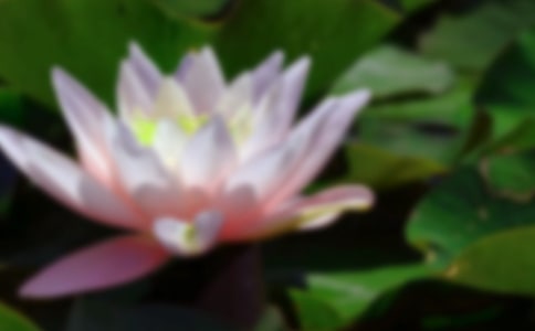 �ɻ����޻��˼