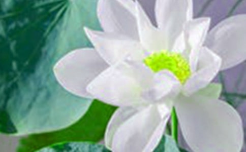 ��ɣ�ӡ��ɻ�����������ԭ�ġ�����ע�ͼ�����