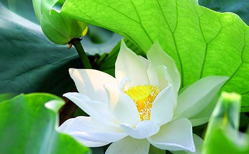 ףӢ̨�����ɻ�ԭ�ļ�����