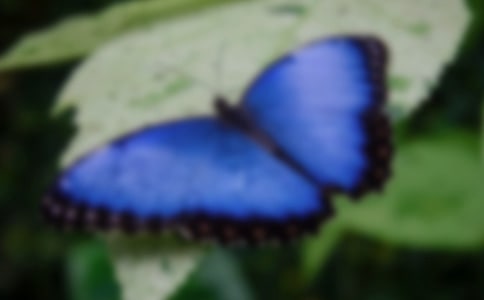 �����������δ�ݹ���ԭ�ļ�����