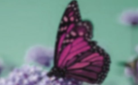 �����졤ӽ�����ԭ�ġ�����ע�ͼ�����