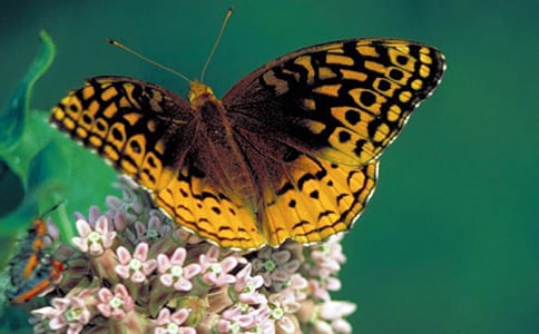 �������������������ԭ�ļ�����