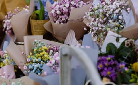 ���괴ҵ�ƻ��鷶��