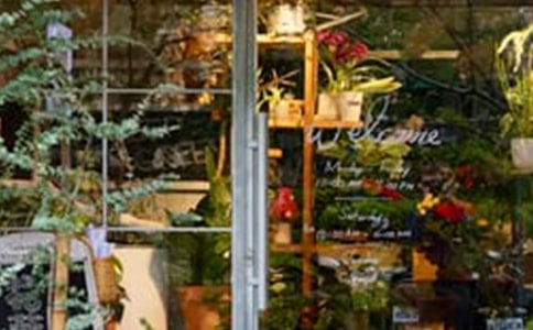 ���괴ҵ�ƻ���ǰ��