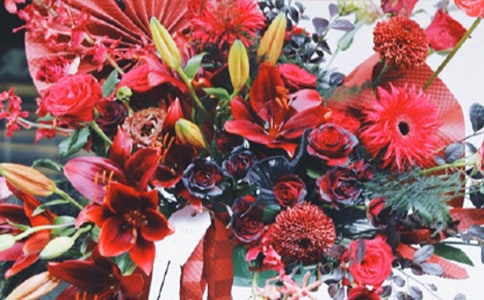 �����Ϸ�໨���̰�