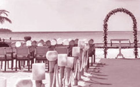 ���������ɸ�Ц����