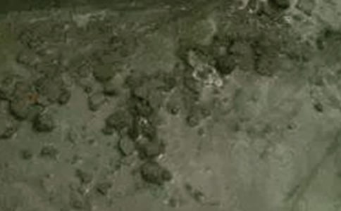 ����������վ�ĳ������ϼ��������