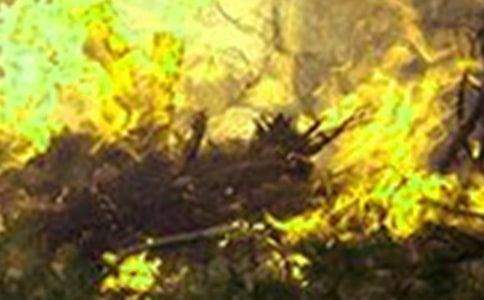 �������ַ����ܽᣨ��ѡ20ƪ��