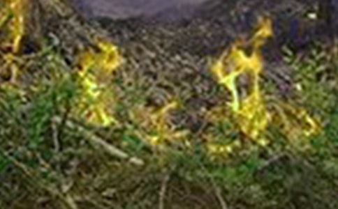 �󾮻��ֵ�Σ������Ԥ����ʩ