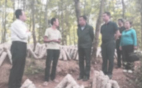  �ŷüͼ칤���ܽ� 12ƪ