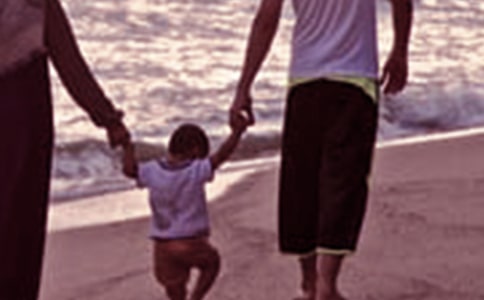 家庭教育公开课家校共育心得体会(优秀)