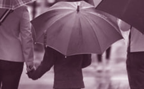 家庭教育公开课家校共育心得体会