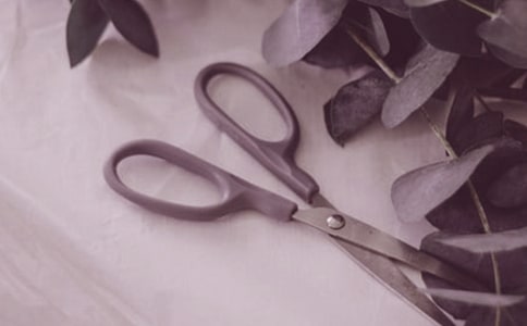 二月春风似剪刀赏析