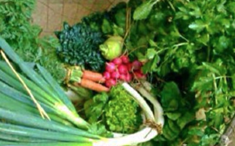 �����������ƶ�