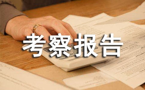 提拔任用干部考察报告