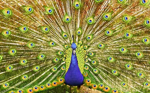 ����ȸ���Ϸɡ��̰���ƪ