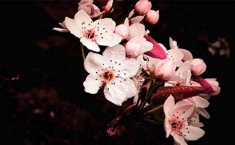 ���滨������ʦ��ԭ�ġ�����ע�ͼ�����