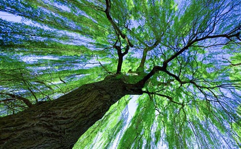 ��ƽ�������ű�����ԭ�ļ�����