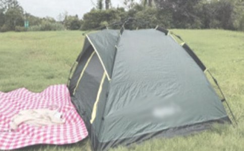 ¶Ӫ�����[����2ƪ]