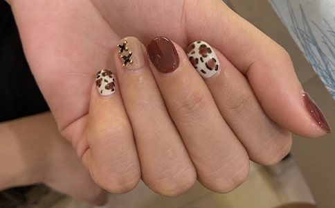 ���׻����(15ƪ)