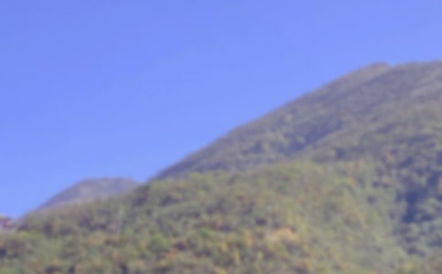 ��ɽ���ȫע������