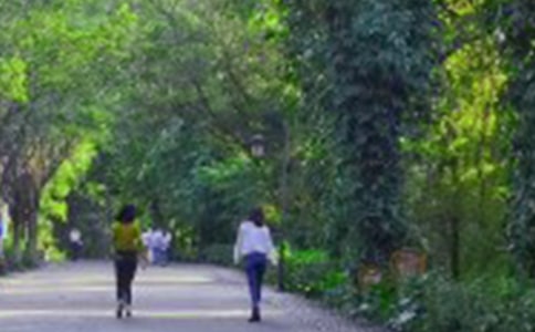 С�ڹ���ɽ�»��˼