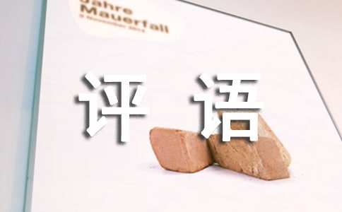 中层工作表现评语