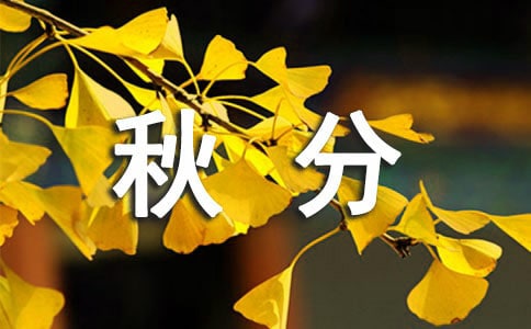 2023������Ǽ��¼���(��ѡ11ƪ)