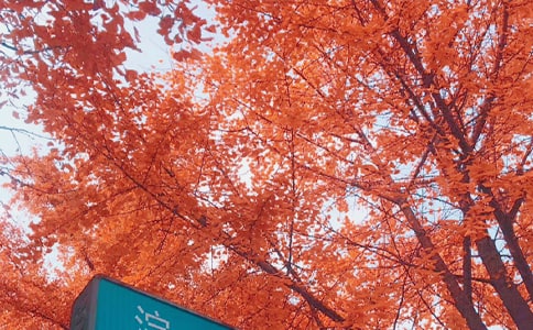 ����³��Ң��ͤ�����ԭ�ļ�����