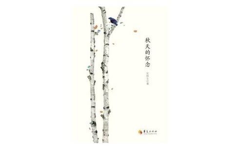 《秋天的怀念》教案