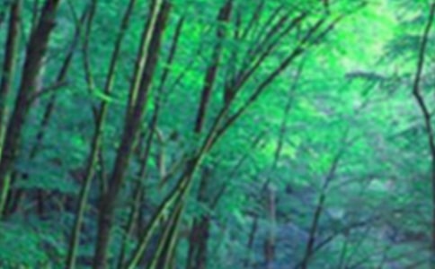 ɭ�ָ��������ܽ�