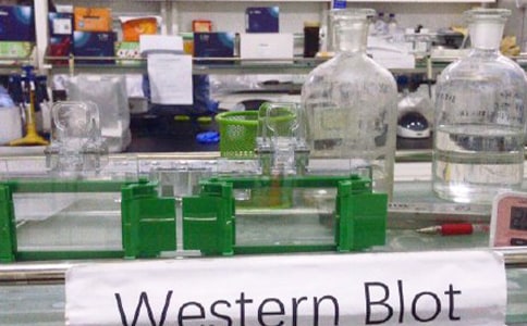 Сѧ��ѧʵ����ʹ�ù����ƶ�