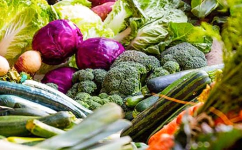 种植蔬菜创业如何