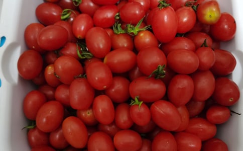 (��)ˮ���괴ҵ�ƻ���15ƪ