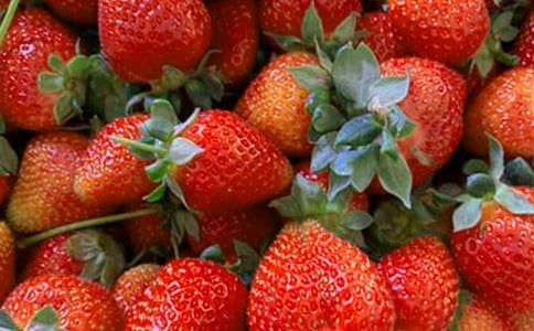 ˮ����С��̰�(15ƪ)