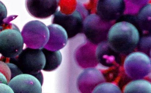 С���ۺϰ���ˮ����ţ�̰�