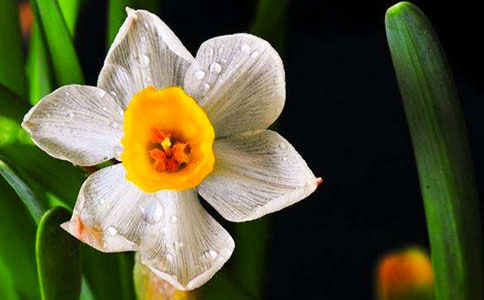 ˮ���ӡ�����_�ſɾõ���ԭ������������