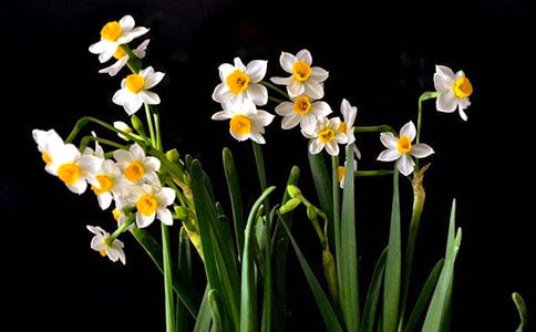 ��ˮ���ӡ�������������ի��ԭ�ļ�����