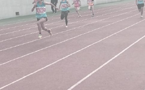 �ﾶ��ѵ���ƻ�����ѡ13ƪ��