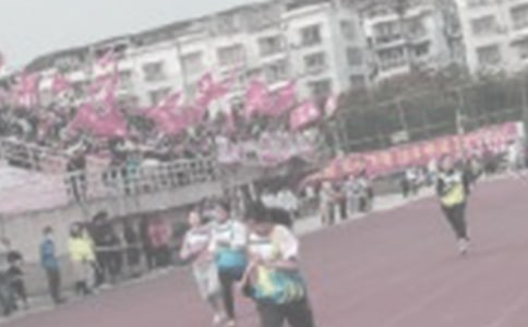 �ﾶѵ���ƻ���