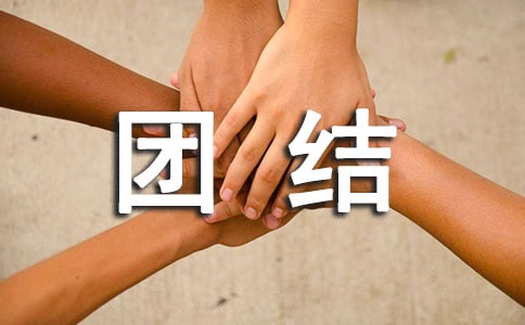 民族团结典型材料