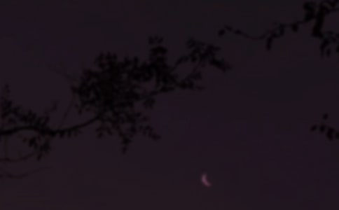 �Ƽ�����������¼��ͨ��115�䣩