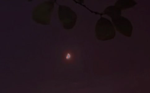 ���Ÿ���������¼��ͨ��155�䣩