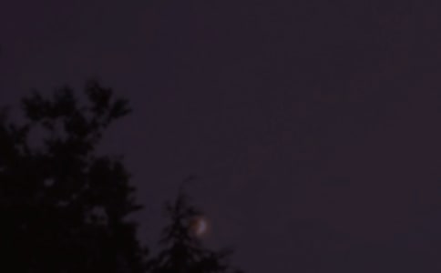 ���ø���������¼��ȫ180��