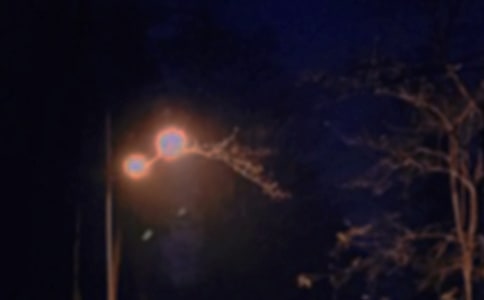 ��������2023����������������¼30��