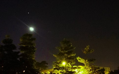 2024�꾫ѡ��ܰ������������¼��ϼ�81��