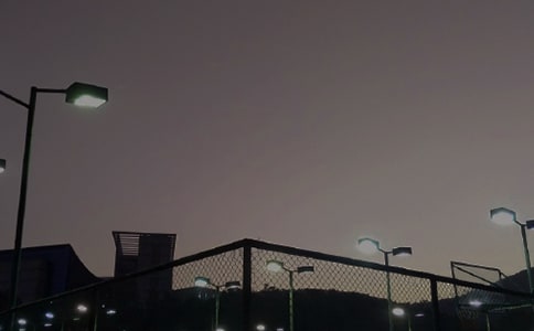 2024�꾭��������¼����60��