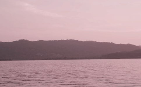 ɨ���Ρ�������ʳԭ�ġ�����ע�ͼ�����